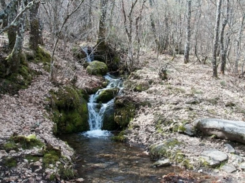 Cascada de Sotillo y alrededores