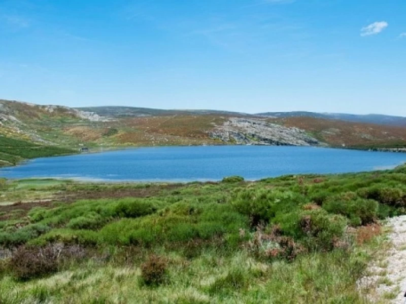 La Laguna de los Peces