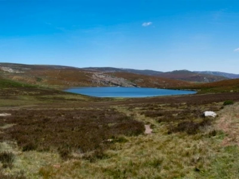 La Laguna de los Peces