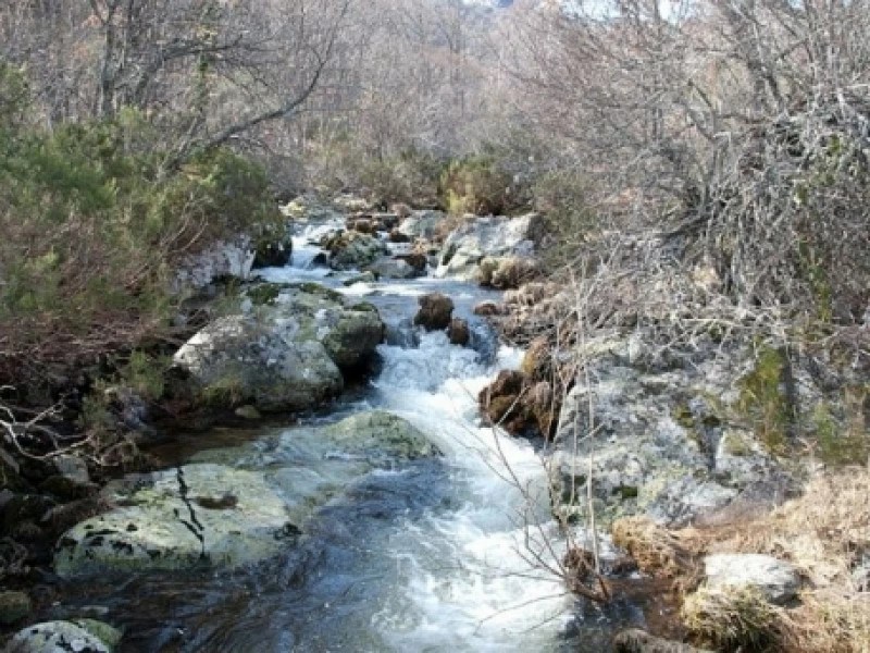 Cascada de Sotillo y alrededores