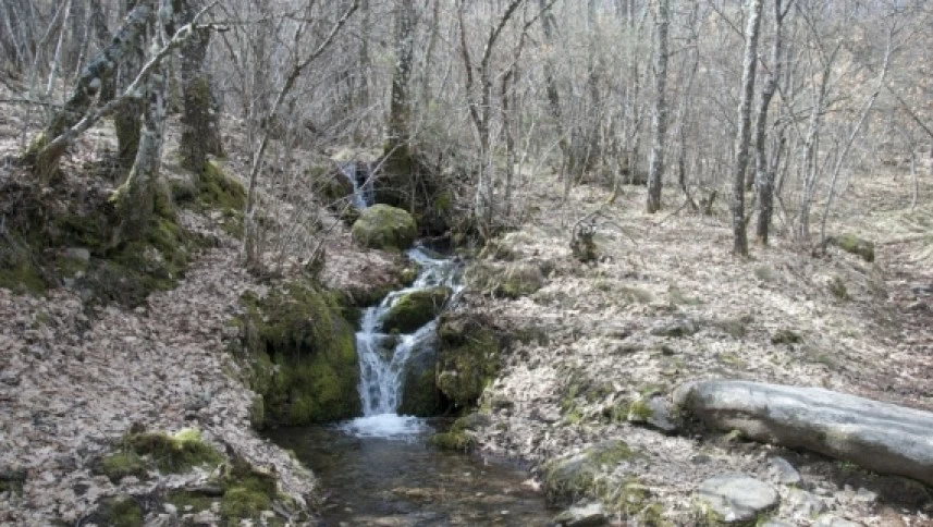 Pequeñas cascadas