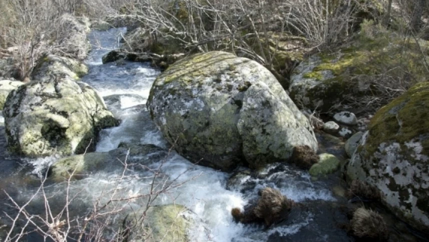 La fuerza del agua