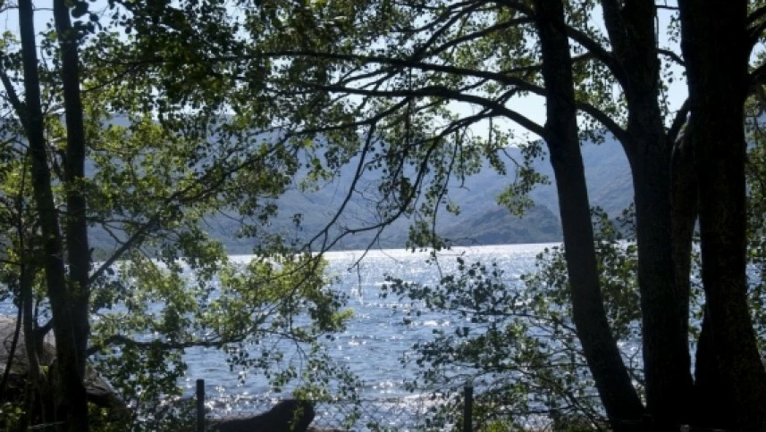 Sanabria Lake