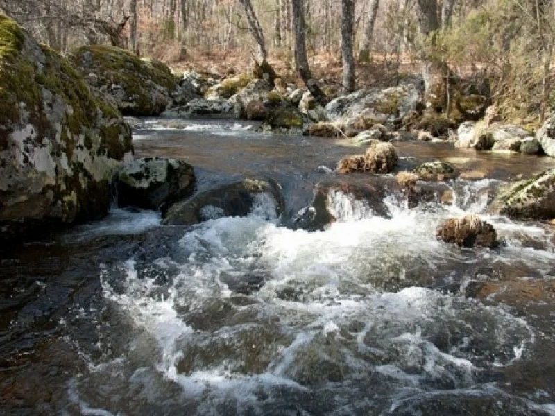 Cascada de Sotillo y alrededores