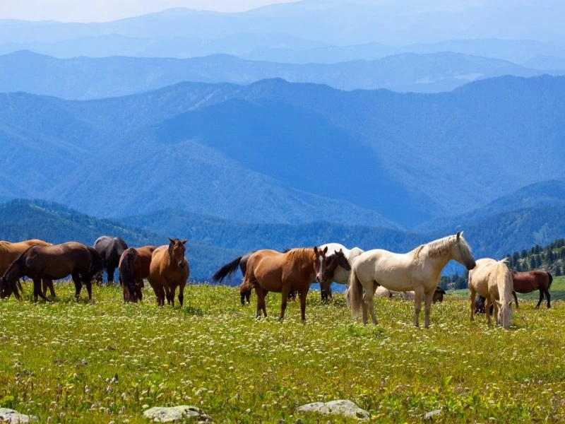 Sanabria a Caballo