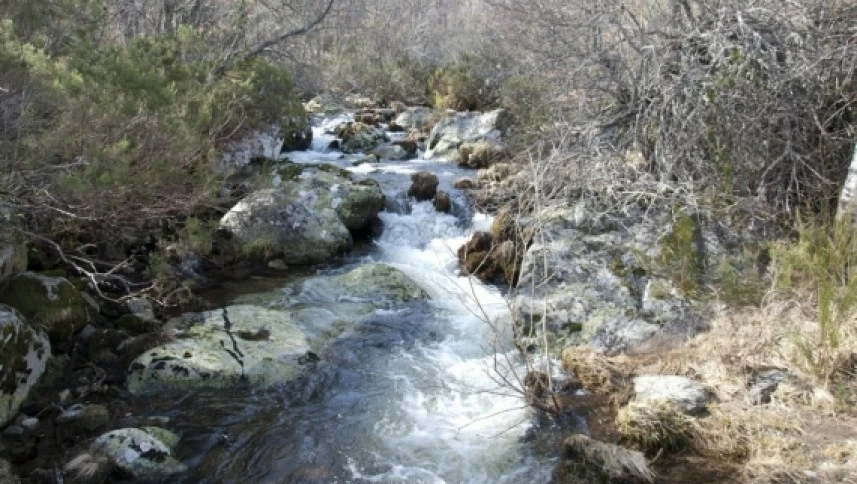 Sanabria Lake