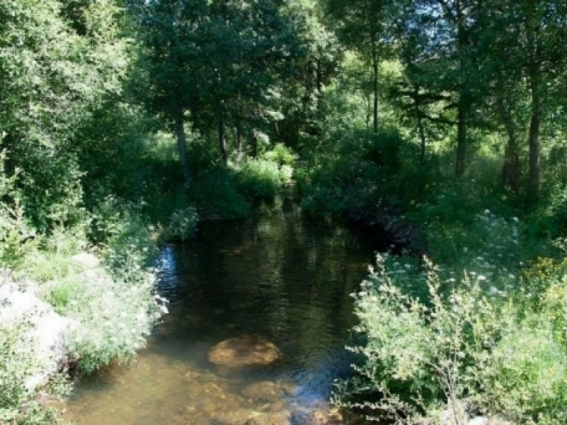 Vigo de Sanabria